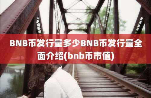 BNB币发行量多少BNB币发行量全面介绍(bnb币市值)