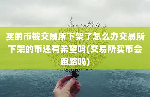 买的币被交易所下架了怎么办交易所下架的币还有希望吗(交易所买币会跑路吗)