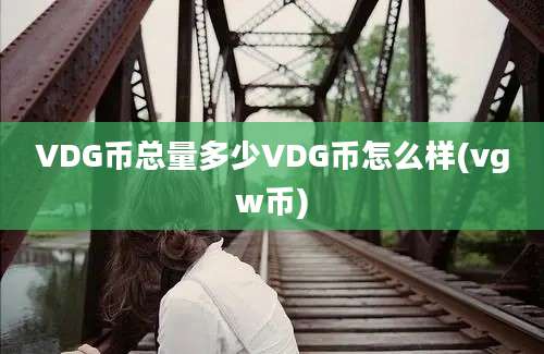 VDG币总量多少VDG币怎么样(vgw币)