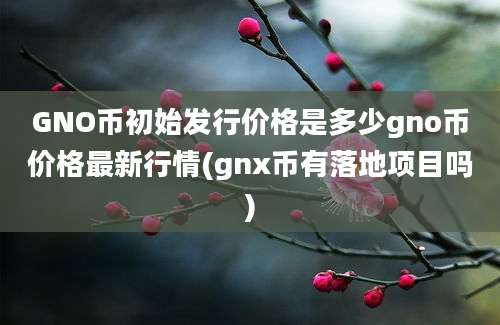 GNO币初始发行价格是多少gno币价格最新行情(gnx币有落地项目吗)