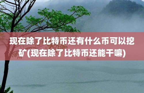 现在除了比特币还有什么币可以挖矿(现在除了比特币还能干嘛)