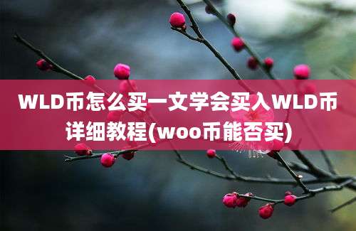 WLD币怎么买一文学会买入WLD币详细教程(woo币能否买)