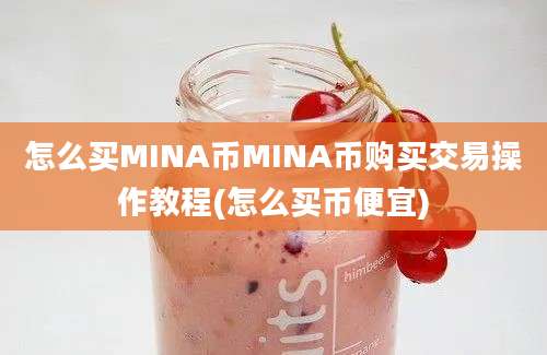 怎么买MINA币MINA币购买交易操作教程(怎么买币便宜)