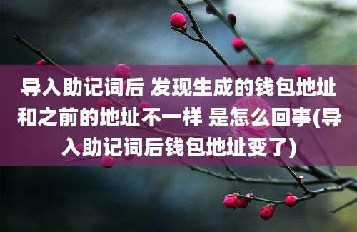 导入助记词后 发现生成的钱包地址和之前的地址不一样 是怎么回事(导入助记词后钱包地址变了)