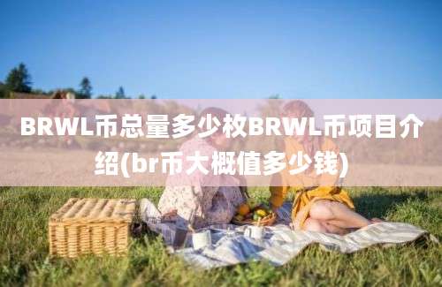 BRWL币总量多少枚BRWL币项目介绍(br币大概值多少钱)