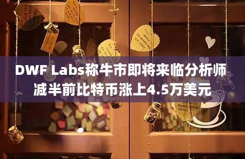 DWF Labs称牛市即将来临分析师 减半前比特币涨上4.5万美元