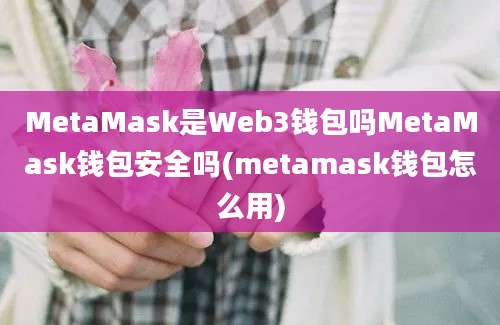 MetaMask是Web3钱包吗MetaMask钱包安全吗(metamask钱包怎么用)