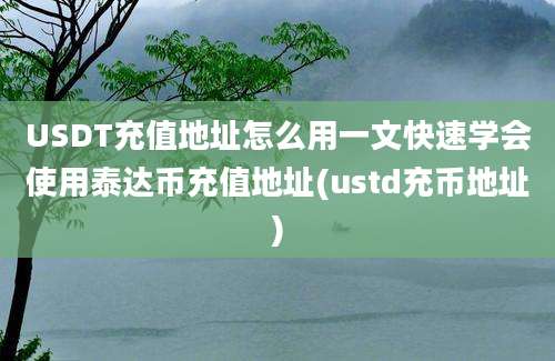 USDT充值地址怎么用一文快速学会使用泰达币充值地址(ustd充币地址)