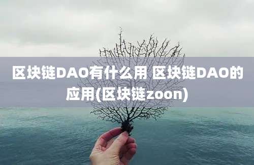 区块链DAO有什么用 区块链DAO的应用(区块链zoon)