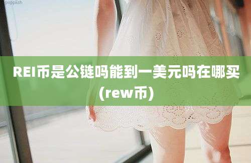 REI币是公链吗能到一美元吗在哪买(rew币)