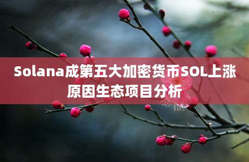 Solana成第五大加密货币SOL上涨原因生态项目分析