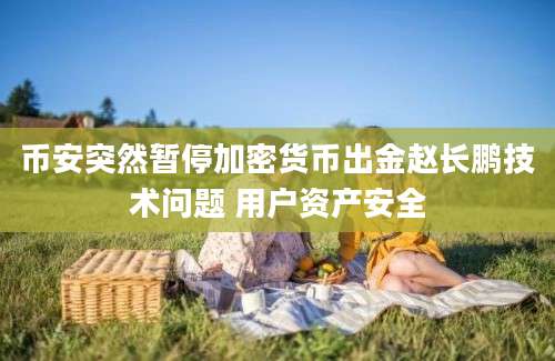 币安突然暂停加密货币出金赵长鹏技术问题 用户资产安全