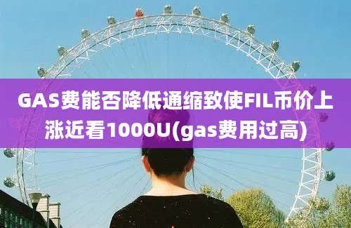 GAS费能否降低通缩致使FIL币价上涨近看1000U(gas费用过高)