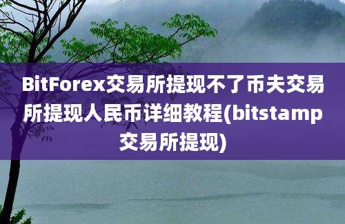 BitForex交易所提现不了币夫交易所提现人民币详细教程(bitstamp交易所提现)