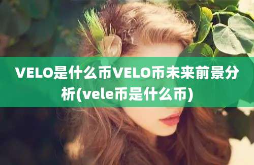 VELO是什么币VELO币未来前景分析(vele币是什么币)