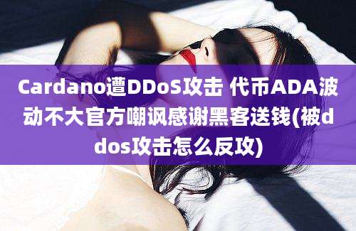 Cardano遭DDoS攻击 代币ADA波动不大官方嘲讽感谢黑客送钱(被ddos攻击怎么反攻)