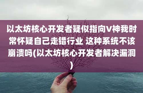 以太坊核心开发者疑似指向V神我时常怀疑自己走错行业 这种系统不该崩溃吗(以太坊核心开发者解决漏洞)