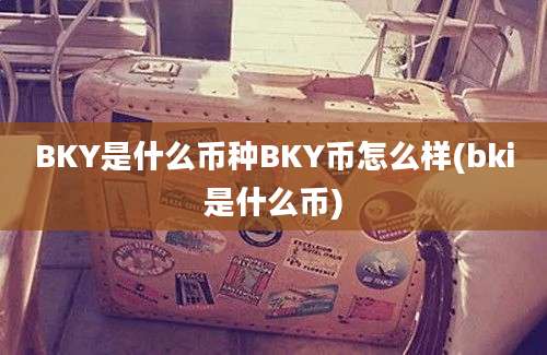 BKY是什么币种BKY币怎么样(bki是什么币)