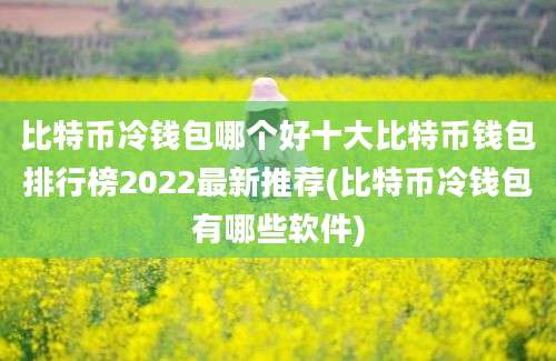 比特币冷钱包哪个好十大比特币钱包排行榜2022最新推荐(比特币冷钱包有哪些软件)