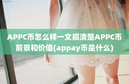 APPC币怎么样一文搞清楚APPC币前景和价值(appay币是什么)