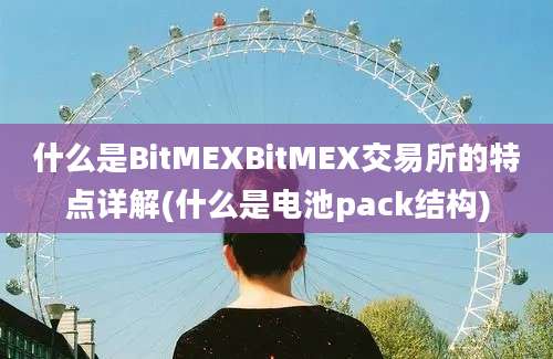 什么是BitMEXBitMEX交易所的特点详解(什么是电池pack结构)