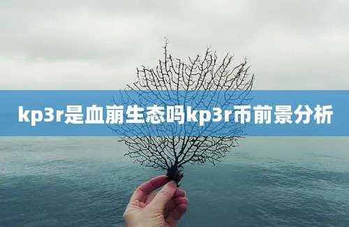 kp3r是血崩生态吗kp3r币前景分析