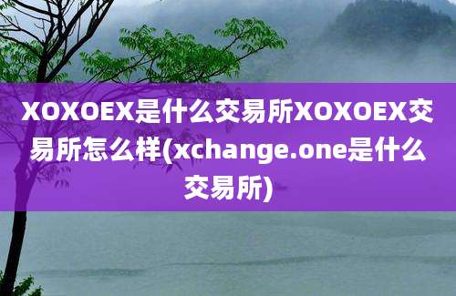 XOXOEX是什么交易所XOXOEX交易所怎么样(xchange.one是什么交易所)