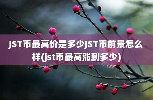 JST币最高价是多少JST币前景怎么样(jst币最高涨到多少)