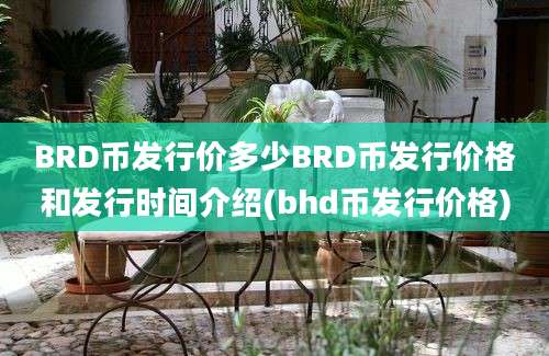 BRD币发行价多少BRD币发行价格和发行时间介绍(bhd币发行价格)