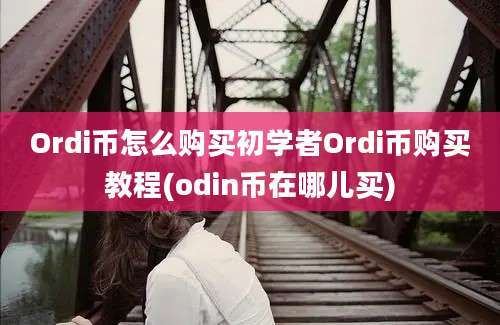 Ordi币怎么购买初学者Ordi币购买教程(odin币在哪儿买)