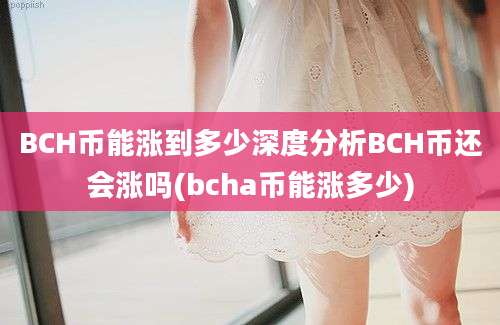 BCH币能涨到多少深度分析BCH币还会涨吗(bcha币能涨多少)