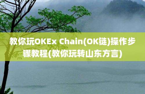 教你玩OKEx Chain(OK链)操作步骤教程(教你玩转山东方言)