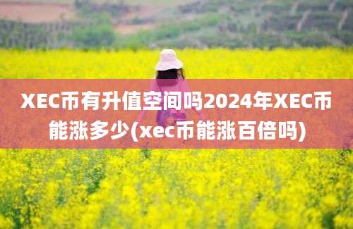 XEC币有升值空间吗2024年XEC币能涨多少(xec币能涨百倍吗)