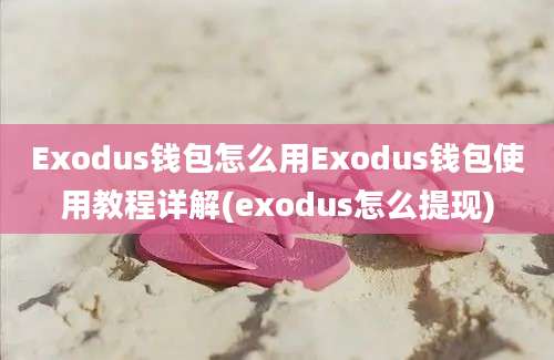 Exodus钱包怎么用Exodus钱包使用教程详解(exodus怎么提现)