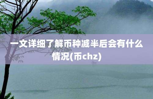 一文详细了解币种减半后会有什么情况(币chz)