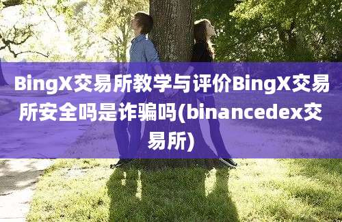 BingX交易所教学与评价BingX交易所安全吗是诈骗吗(binancedex交易所)