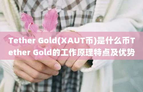 Tether Gold(XAUT币)是什么币Tether Gold的工作原理特点及优势