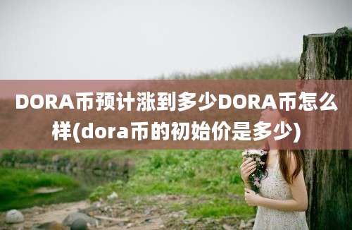 DORA币预计涨到多少DORA币怎么样(dora币的初始价是多少)