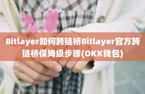 Bitlayer如何跨链桥Bitlayer官方跨链桥保姆级步骤(OKX钱包)