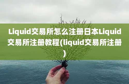 Liquid交易所怎么注册日本Liquid交易所注册教程(liquid交易所注册)