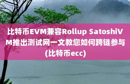 比特币EVM兼容Rollup SatoshiVM推出测试网一文教您如何跨链参与(比特币ecc)