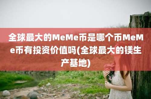 全球最大的MeMe币是哪个币MeMe币有投资价值吗(全球最大的镁生产基地)