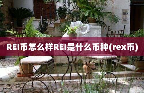 REI币怎么样REI是什么币种(rex币)