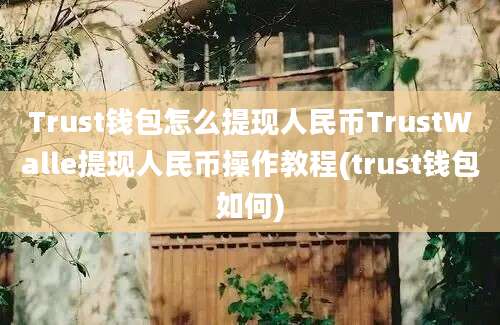 Trust钱包怎么提现人民币TrustWalle提现人民币操作教程(trust钱包如何)