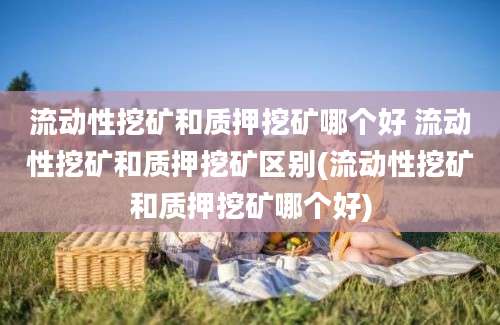 流动性挖矿和质押挖矿哪个好 流动性挖矿和质押挖矿区别(流动性挖矿和质押挖矿哪个好)