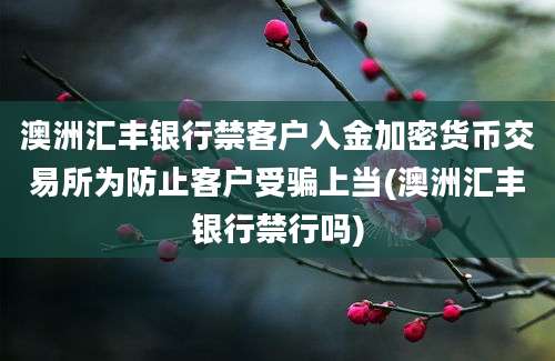 澳洲汇丰银行禁客户入金加密货币交易所为防止客户受骗上当(澳洲汇丰银行禁行吗)