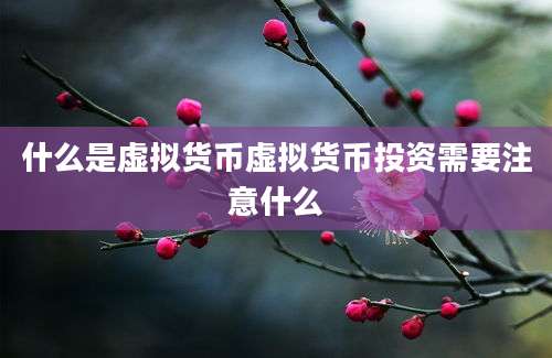 什么是虚拟货币虚拟货币投资需要注意什么