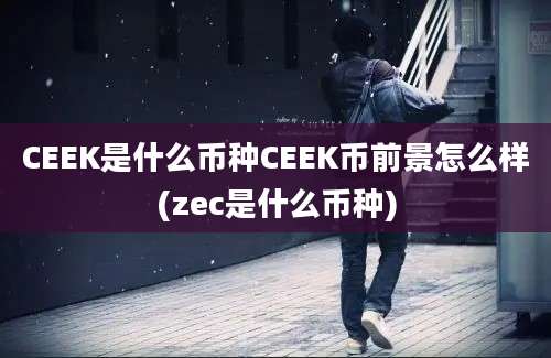 CEEK是什么币种CEEK币前景怎么样(zec是什么币种)