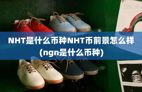 NHT是什么币种NHT币前景怎么样(ngn是什么币种)