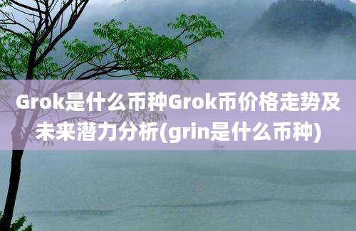 Grok是什么币种Grok币价格走势及未来潜力分析(grin是什么币种)